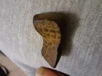 20201006_223631.webp
