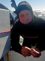 dive-finds-LGPS.webp