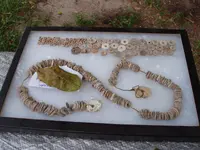 ShellNecklace.webp