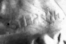 Lettering.webp