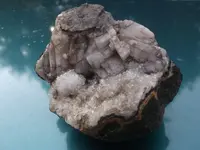 DSCF8244.webp DSCF8244.webp