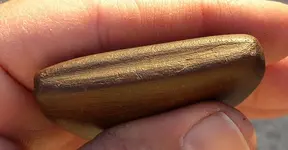 atlatl4.webp