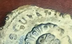 Souvenir.webp