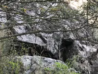 D0C01B87-750F-40F2-9769-C679201F71DD.webp