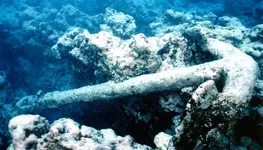 JuliaAnnAnchor-700x400.webp