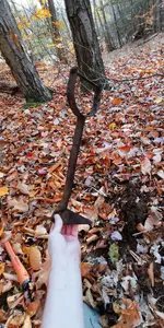 IMG_20201024_163224.webp