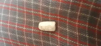 20201110_104017.webp