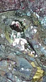 CM201030-203224006.webp
