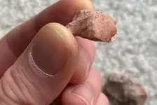 hafted scraper 2.webp