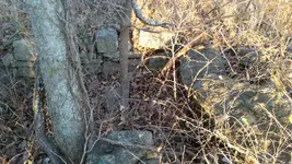 M Hill 11-27-20 Root Cellar2.webp