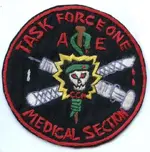 taskforceonemedsectptchobv_540x545.webp