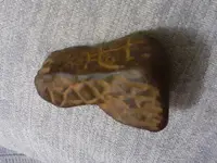 20201006_223735.webp