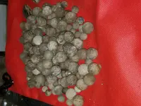 20201110_194258.webp