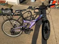 ebike1.webp