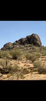 elephant butte.webp
