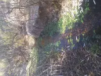 20201127_112243.webp