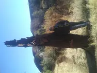 20201127_091942.webp
