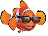 fish.webp