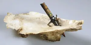 Scapula w:point.webp