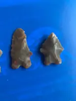 ImageUploadedByTreasureNet.com1606141985.157108.webp