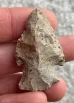possible woodland point.webp