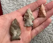 3 from old barn site.webp