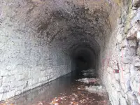 IMG_3364.webp IMG_3364.webp