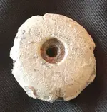 metal_detecting_finds_(1)_(4)[1].webp