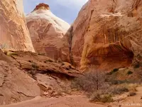 RobbersRoostbyMountainPhotography.webp