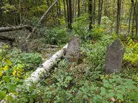 Cemetery.webp
