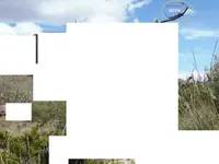 92219 235.webp