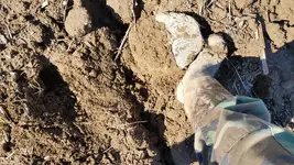 20201031_131530.webp