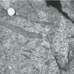 Eutaxitic-texture-in-welded-ash-fl-ow-tuff-Bell-Island-Bay-Group-Primary-volcanic_Q640.jpg