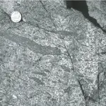 Eutaxitic-texture-in-welded-ash-fl-ow-tuff-Bell-Island-Bay-Group-Primary-volcanic_Q640.webp