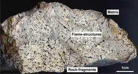 10-Sample-of-upper-ignimbrite-unit-from-location-78-Dark-rock-fragments-are-embedded.webp