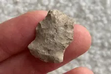 hafted scraper 3.webp hafted scraper 3.webp