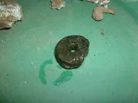 DSCF0033.webp