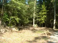 DSCF0003.webp DSCF0003.webp