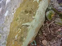 20201206_154442.webp