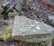 20201206_154435(1).webp