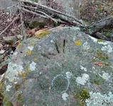 20201204_165943(1).webp