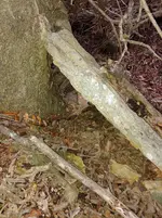 20201126_170942(1).webp