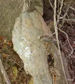 20201126_170937(1).webp