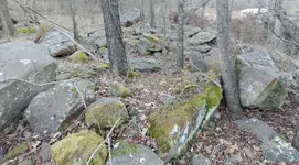 20201204_170014_HDR(1).webp