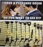Pleasure Room.webp