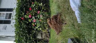 IMG_20200913_182049.webp
