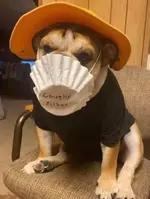 coughfyfilter.webp