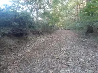 20201007_163441.webp