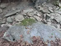 20201007_163816.webp