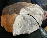 ImageUploadedByTreasureNet.com1607316840.197007.webp